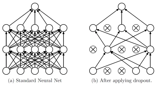 A standard neural net before and after applying dropout